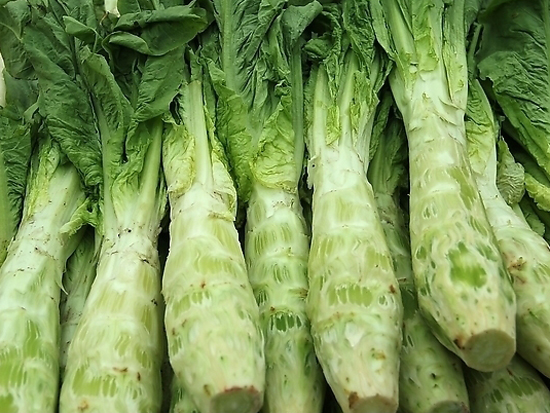 蔬菜