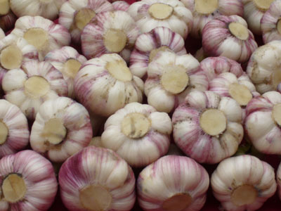 蔬菜